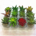 Home decorative Artificial mixed Mini succulent plant pvc potted succulent plant with different styles